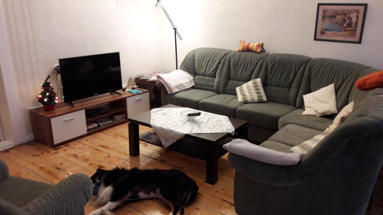 Ferienwohnung ヴェルニゲローデ エクステリア 写真